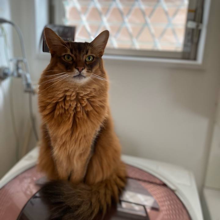 0ccec995 4b3a 41a4 9b05 f9b3876bf2b5 1735610196697