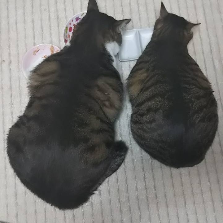 0cceda86 af06 445f 906b 9d9cea1ec6a1 1629677978573