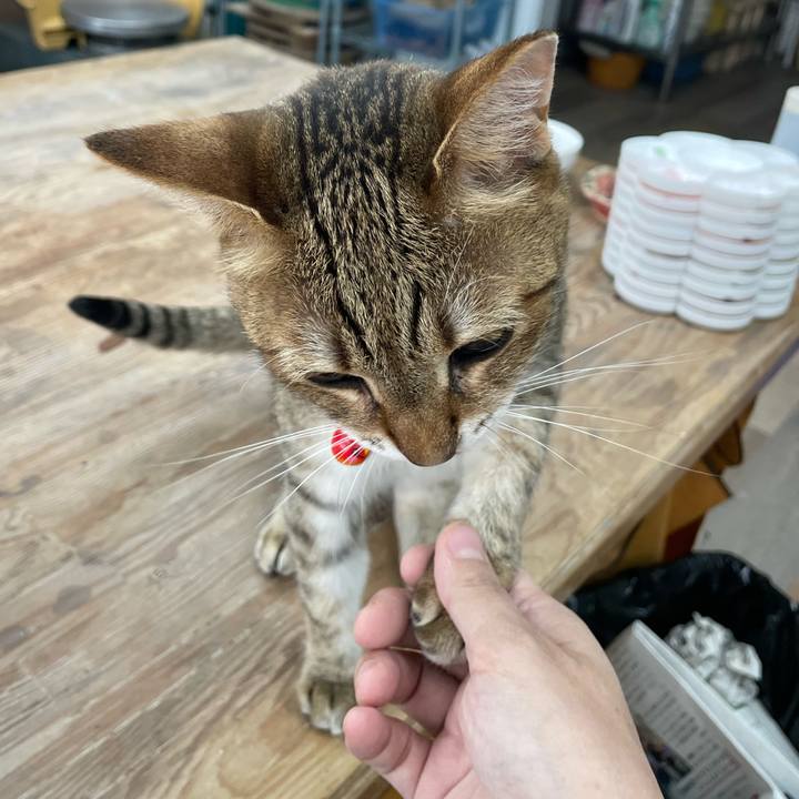 0ccefddf 1e7c 4b10 8fce fe04034f0af3 1753874270724