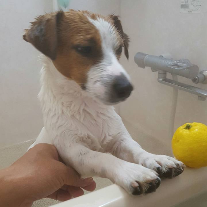 0ccf1c7a aa7c 4797 a821 14ec09cf29c0 1577010945609