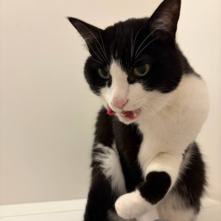 0ccf4079 8b5f 4a3a b29c 6f7344625796 1768915514910