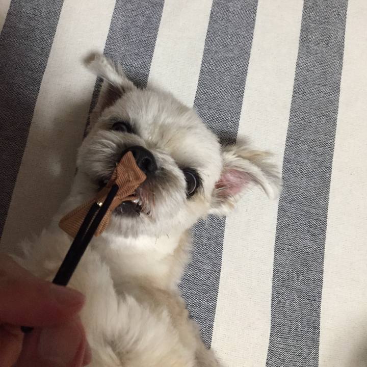 0ccf79bf c84e 4026 9407 8c0171138677 1538829655089