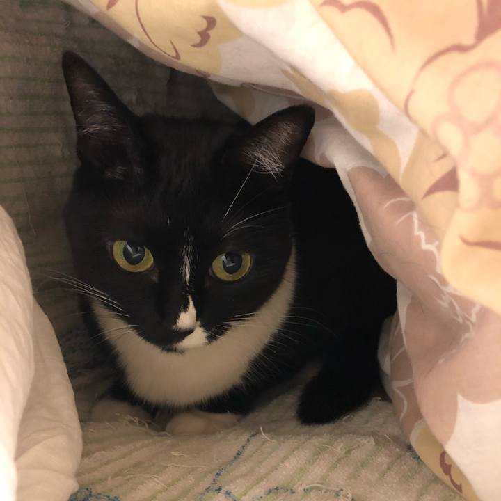 0cd013e1 c750 421e ad89 c35fe50c69ee 1540420120516