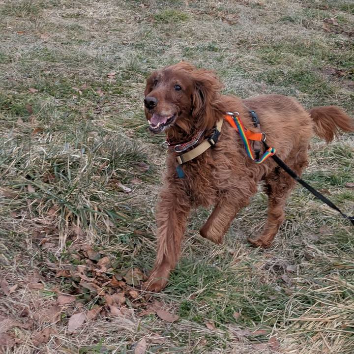 0cd0360e 0359 492e 89b7 0dd0a47c5839 1772009036459