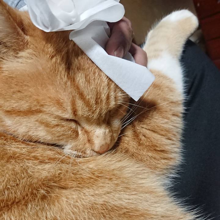 0cd0aad5 ce03 433d b6d2 10397393c4b9 1606559848326