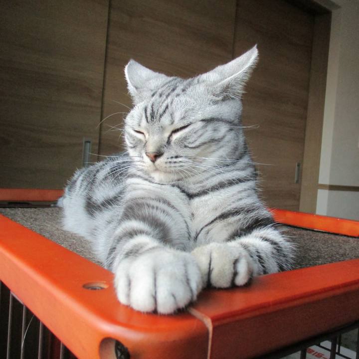 0cd0ae04 e7b6 41aa 9073 e4d1c4957e5e 1572270144879