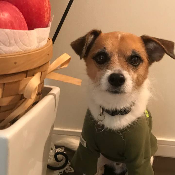 0cd0b6b0 dd62 4884 9c4b 2cf06c4fdb4c 1514799482139