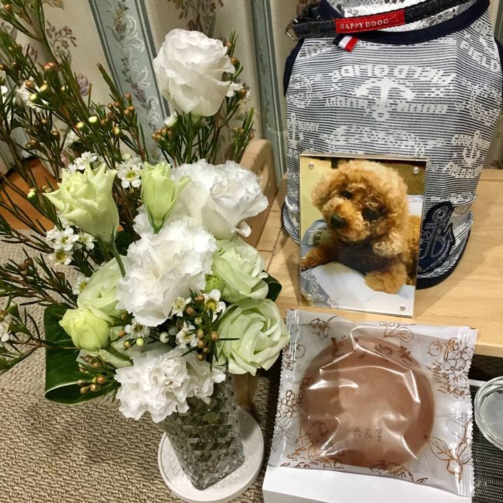 0cd0ce52 c606 46c5 bd4e 5f63549a1df0 1537111082075