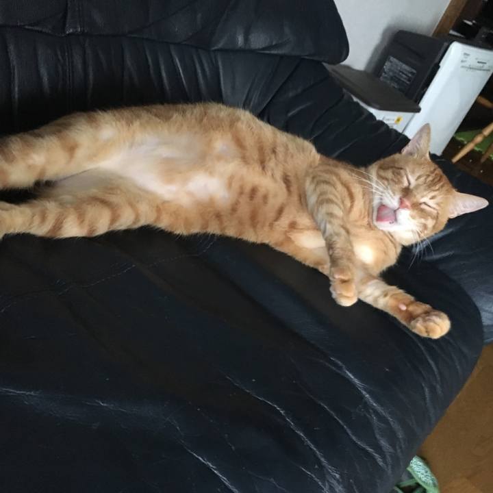 0cd0e234 f525 49d6 a2e0 79ea643a5e9f 1534144585394