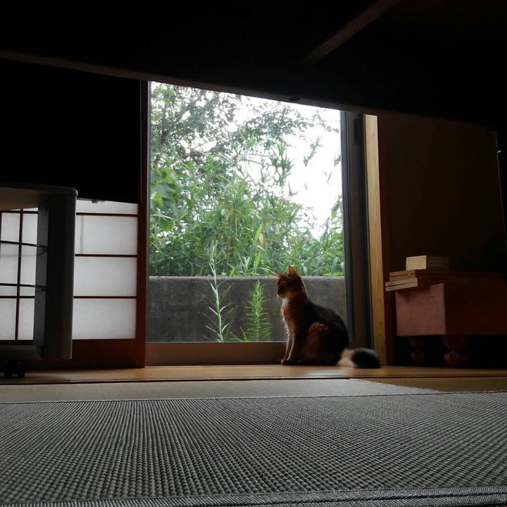 0cd10c9d aae7 4dd1 83fe b335e7679974 1567600838898