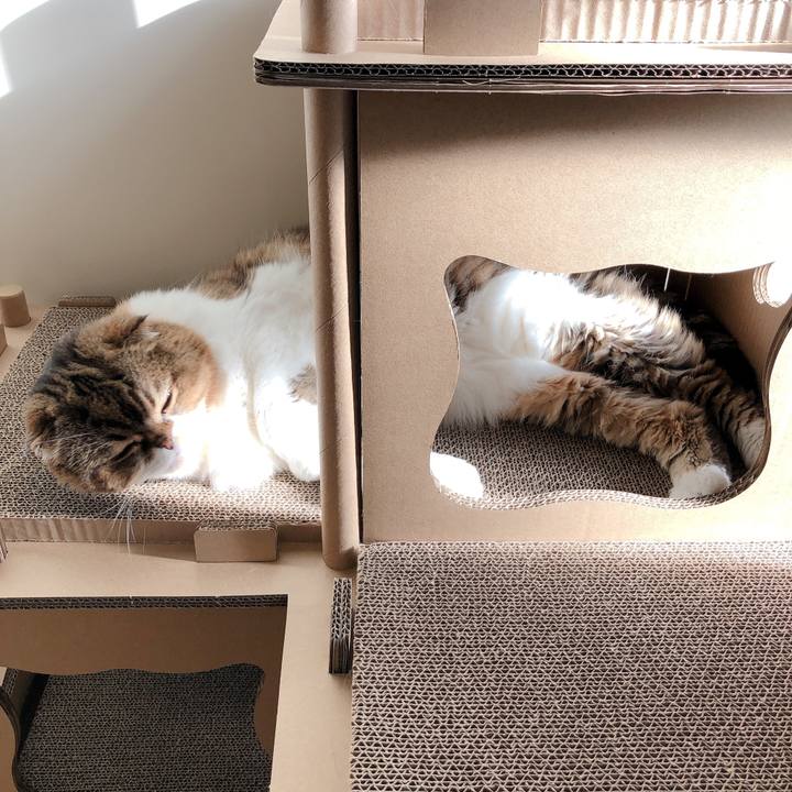 0cd123bc 9e82 45fb 994e 6c9692d03c08 1598481365146