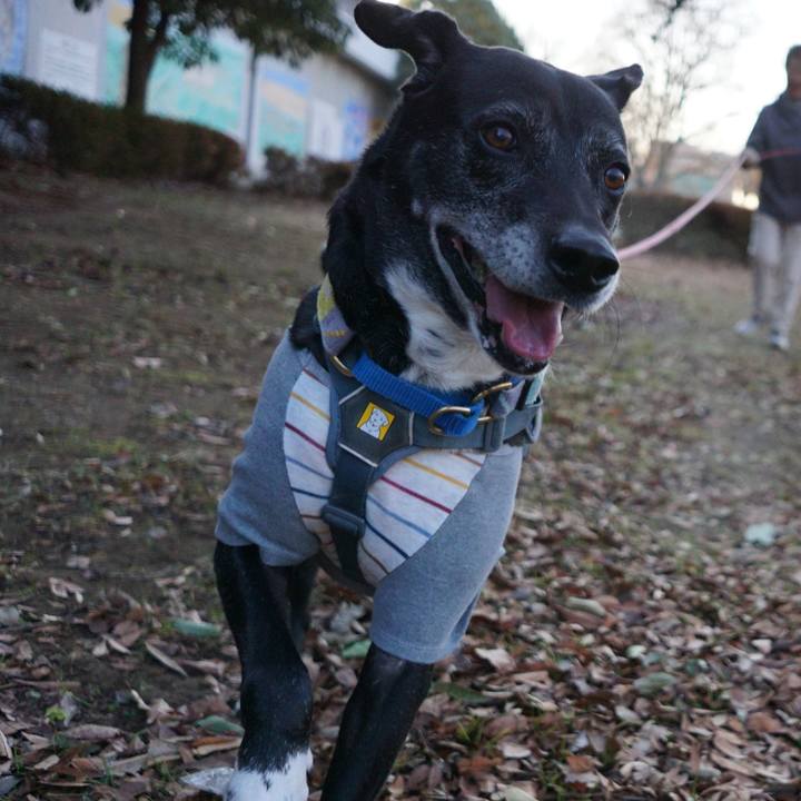 0cd16259 babc 4758 b83c cefeca296209 1768522668055