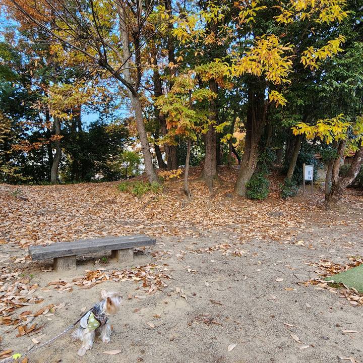 0cd19452 963b 4ae1 8fc0 e7612b189edc 1733354128506