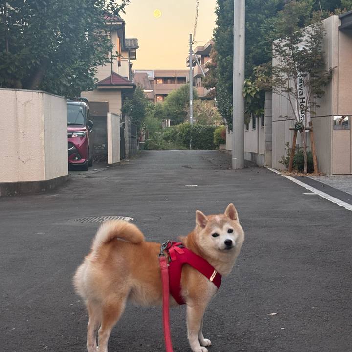 0cd1ce02 9f92 42fa 9d1f 262609806500 1759955521139