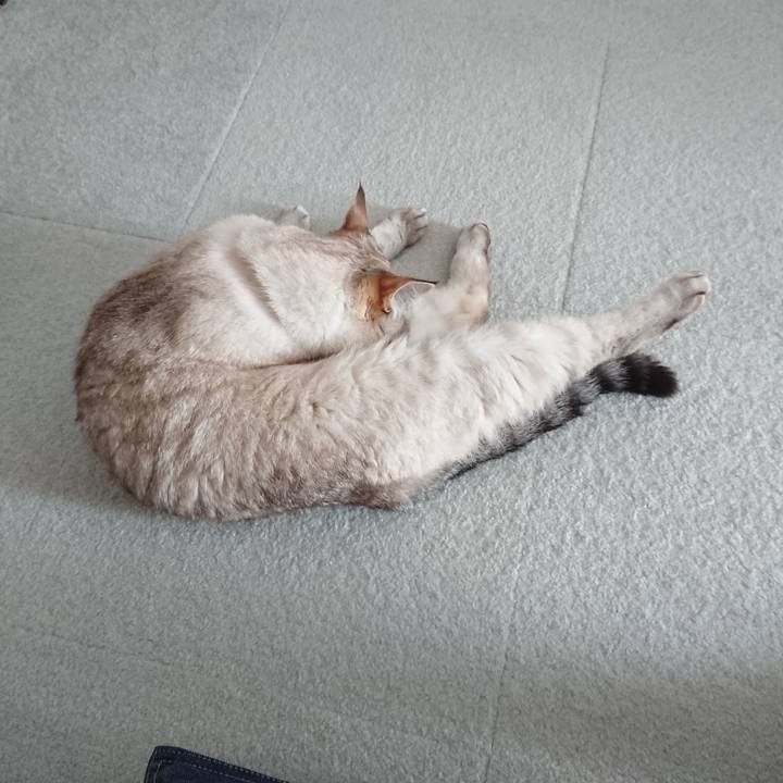 0cd221bb b298 41d6 83a9 57a5c7d2ac4e 1566031284417