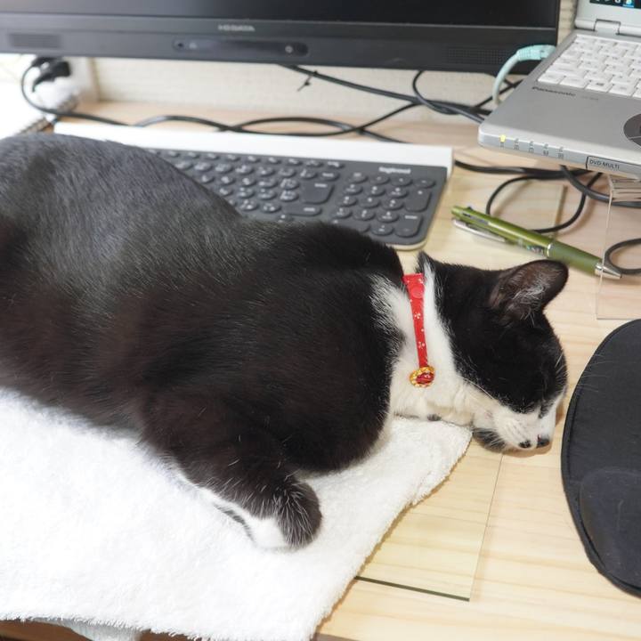 0cd26175 bc22 4cc4 a6fe 5b61ebf1f50a 1592487427361