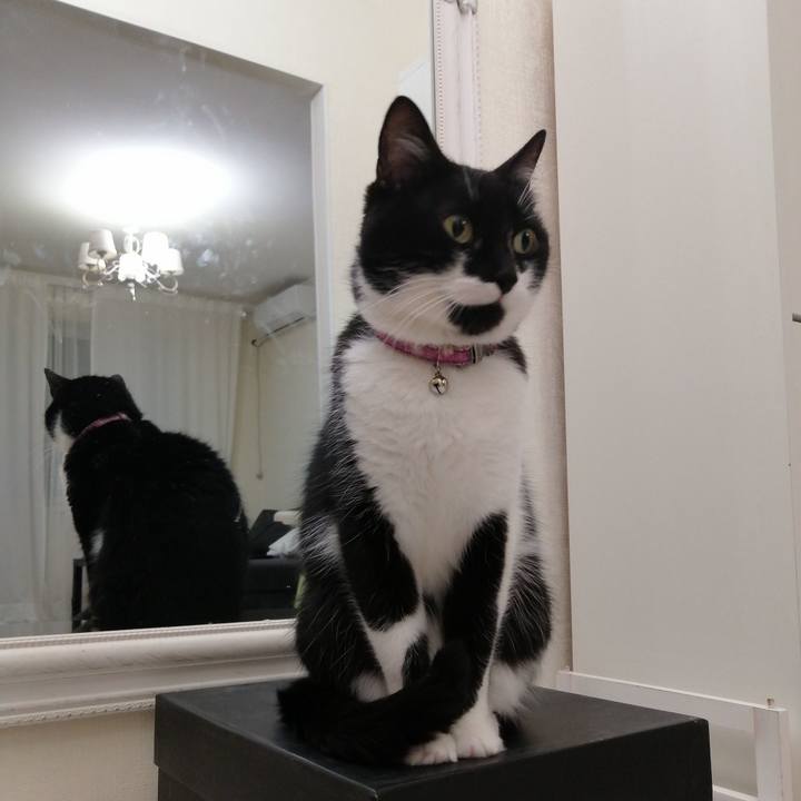 0cd27583 d11d 47b7 980a 9baf74b88bd3 1584119703708