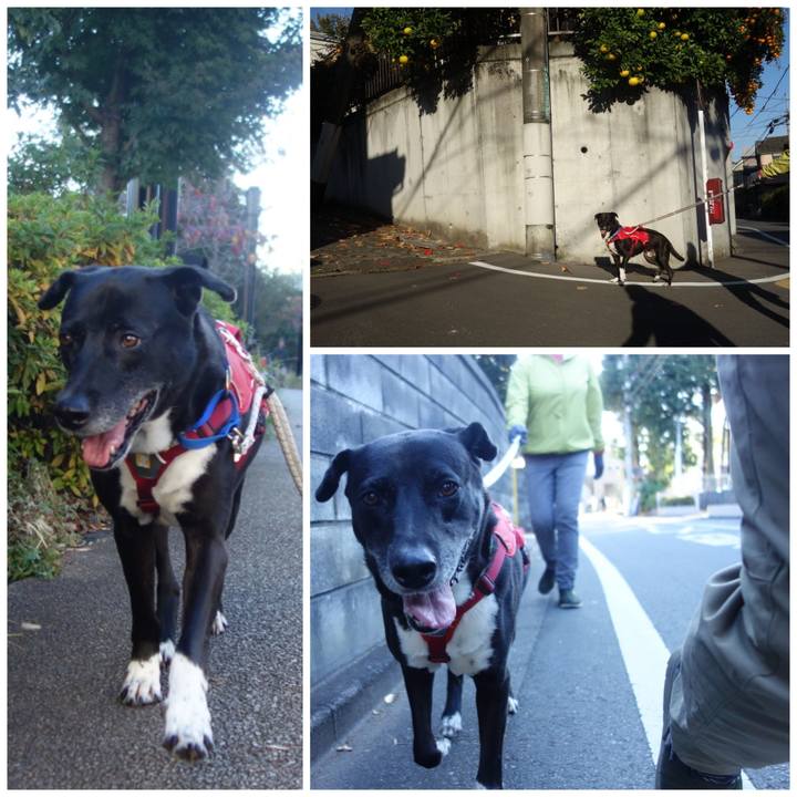 0cd27771 a578 4800 a489 4a1f78740efd 1668823741201