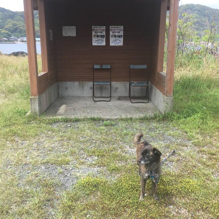 0cd277af aec8 4bc3 aece dcf1cbc69ad3 1556327805979