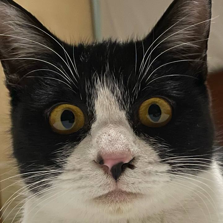 0cd2e56a 6453 4048 bed6 ecb988fb4556 1677953258702