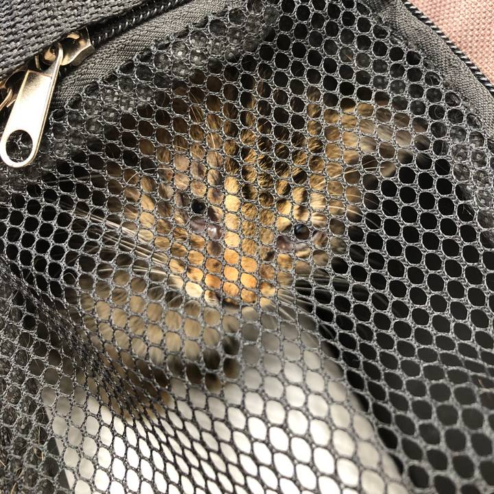 0cd31ab4 da6b 45cb a325 da638bf5bf06 1723942615685