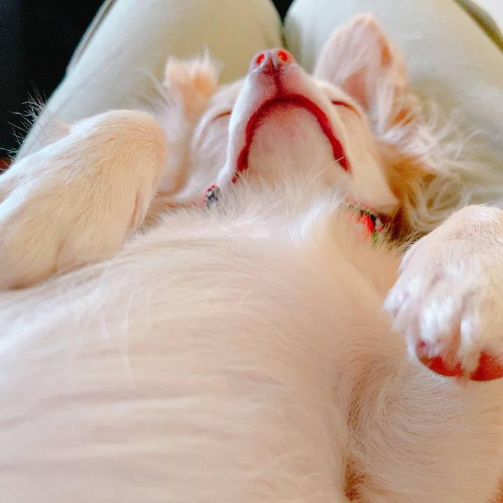 0cd3509e 9844 4684 9253 e28b5e7cbe16 1626986288391