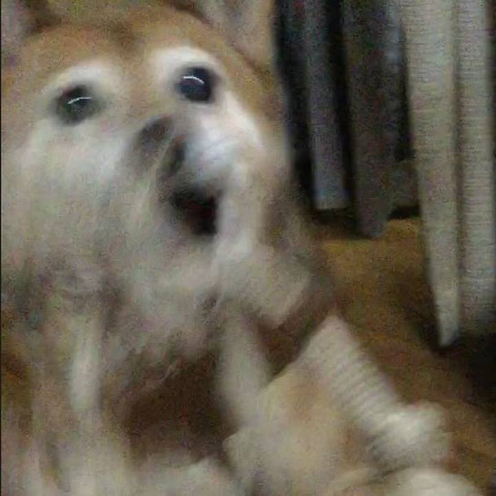 0cd354ad 5eb5 42b3 842c 381a6fe06a43 1630748031305