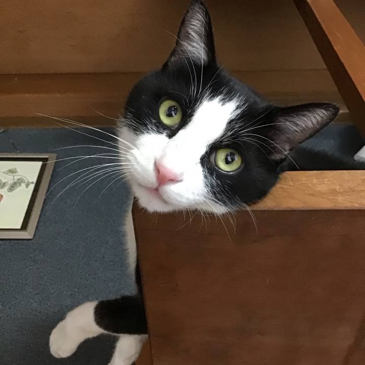 0cd3d1f3 fb58 4760 bd50 fc884593d0a3 1753691601214