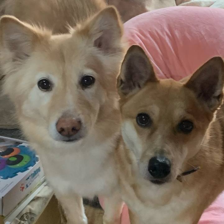 0cd3d3ff eb07 4b91 8f43 2e56f761bb80 1679392839645