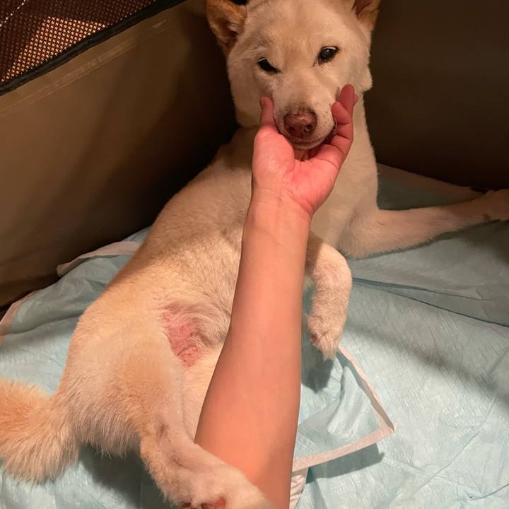 0cd3fbdf 2b92 414a bf6f 9a2ec58d9784 1656854578188