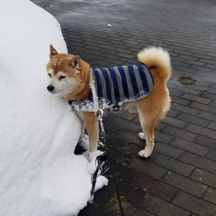 0cd40fb3 616a 47ea 8b6e 54afdf94cd72 1580966459157