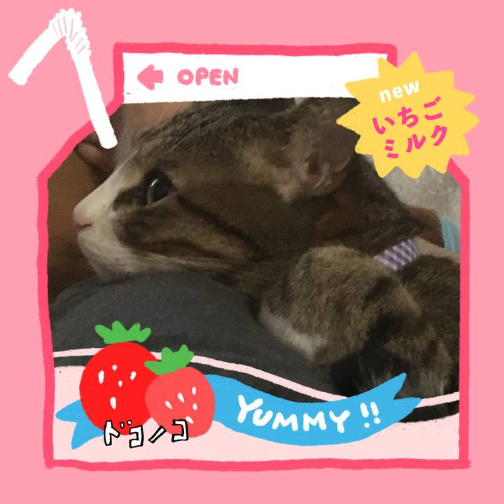 0cd43cfd d8a3 4f89 9a90 4ed58fefb7aa 1711391789484