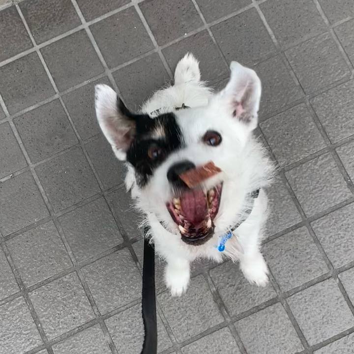 0cd440cb f84c 4e4e a0c5 3a83139055d2 1718152090479