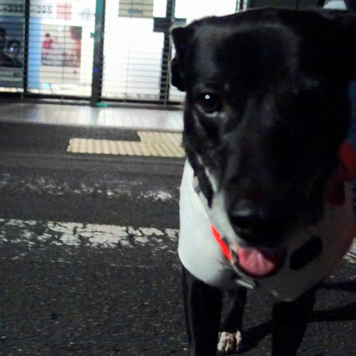 0cd464c1 40a7 418c 9ba7 74b8557f1f8d 1735816109715