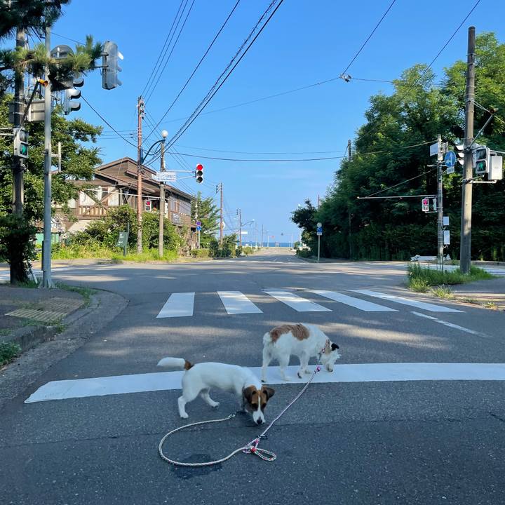 0cd46f2f 95fe 4463 97a5 0a0c1838fd8b 1627860145282