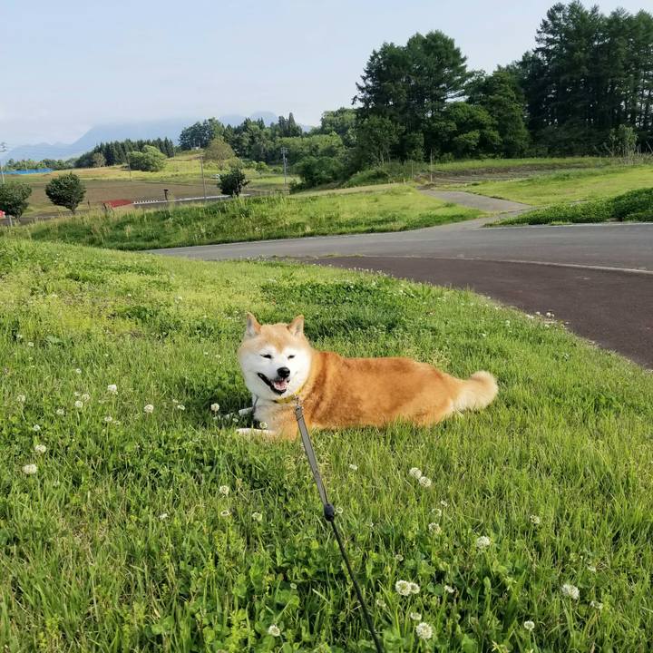 0cd4721e 73cc 4b34 b2de c48dda6a9f55 1684567471230