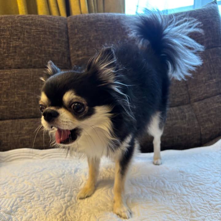 0cd49b21 b25b 4af3 9fbe e890d12940f8 1758585810749