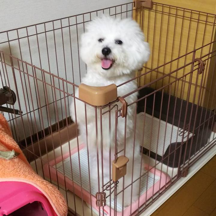 0cd4a81e b2f7 4ac0 81e8 13e4e067690f 1509532431668