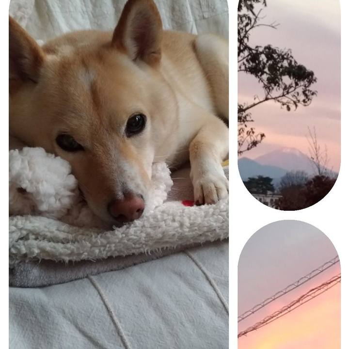 0cd4be2f d57b 437a bd30 d171d7ce9fd7 1609021532882