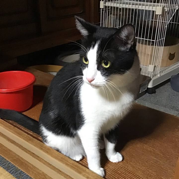 0cd4c9d7 cb7e 4fad 85c2 efd69c59ae06 1760430435644