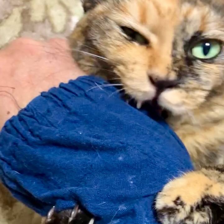 0cd4d20a 37b8 4ffa bdd5 381a34e9827d 1729799546869