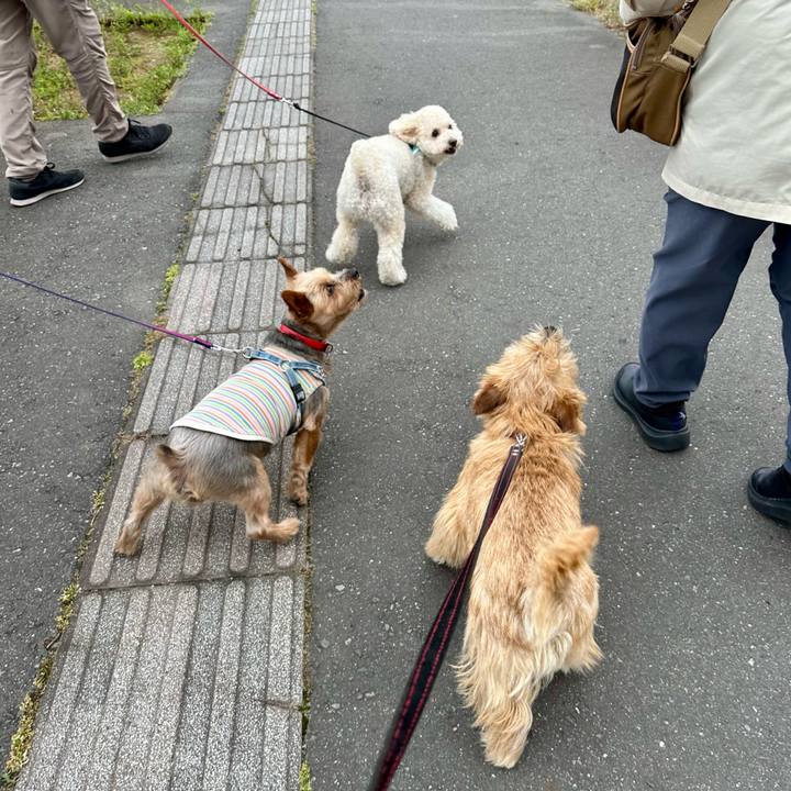 0cd52ef0 c3bd 4a49 9e1c fb571901b1f5 1748060264560