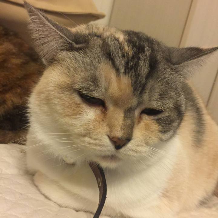 0cd56a64 3745 4e49 a038 fe5e848eeab0 1547391950578