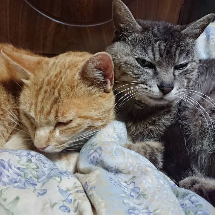 0cd5774b c17d 46d0 aba7 1b200f862043 1588679822600