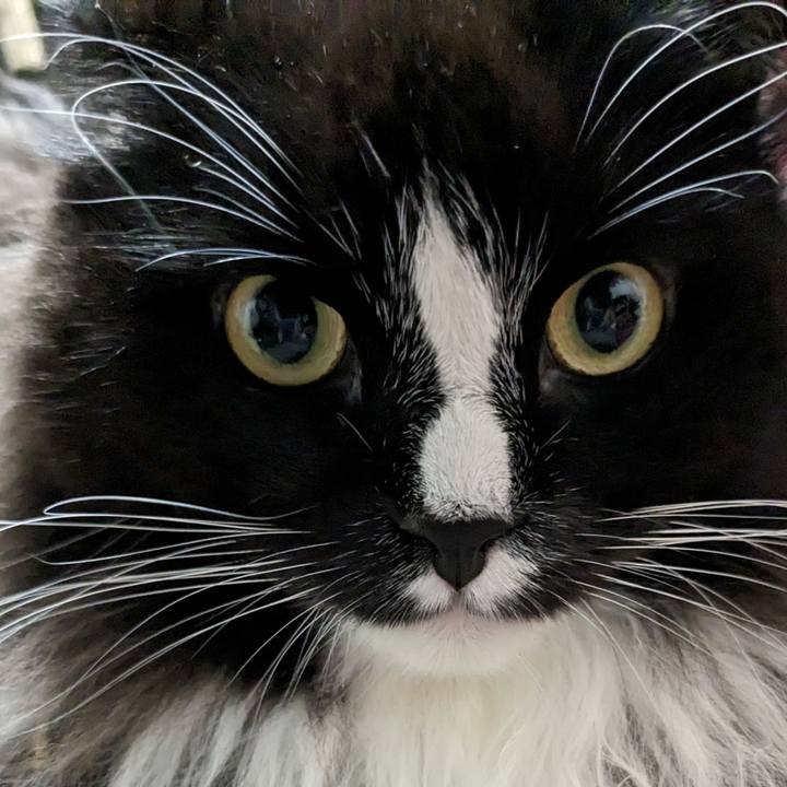 0cd599ea 4a79 4a94 88e2 443be5880a53 1699103213941