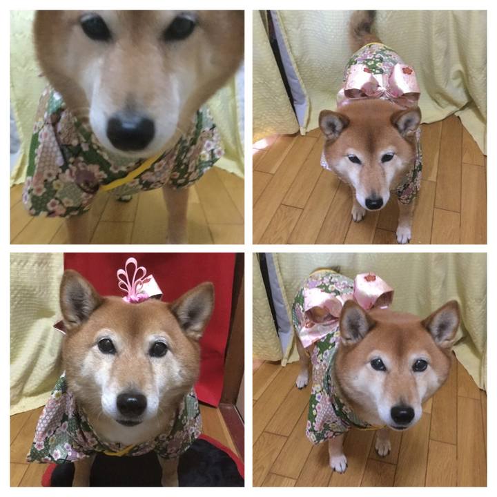 0cd5a5b1 0693 4408 ba83 c56e69be40e4 1551600266803