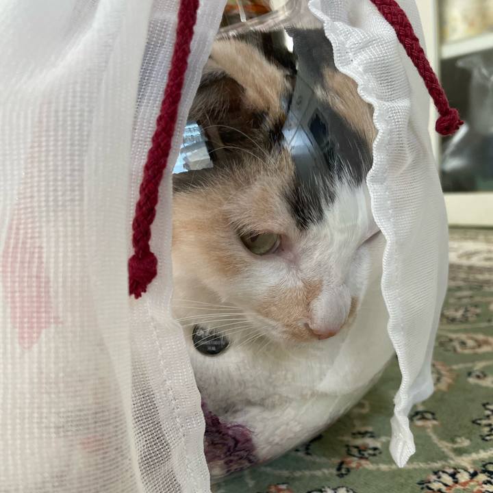 0cd5d9a8 4f97 4ac2 84c1 1991e1a1152c 1721693237283