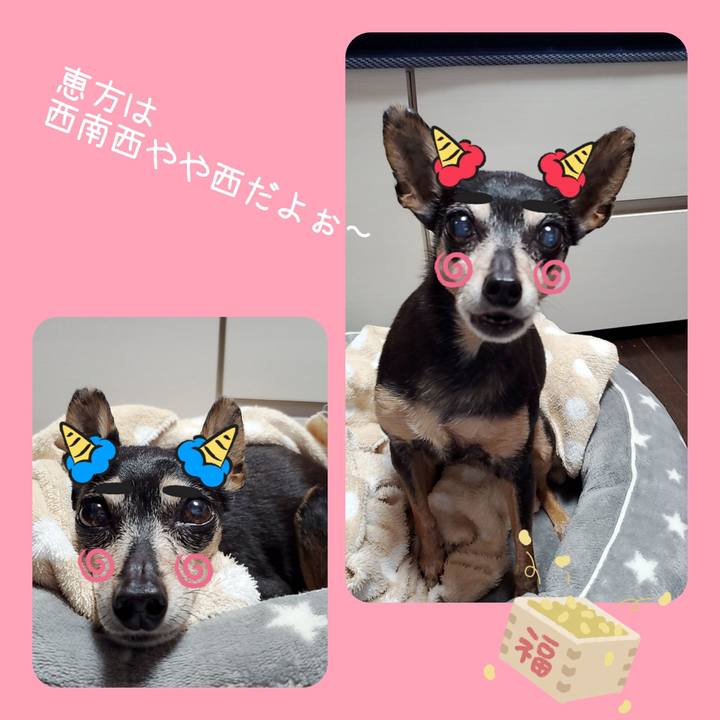 0cd64b7f ae47 45fc b4d3 9064ca46a84e 1738455209185