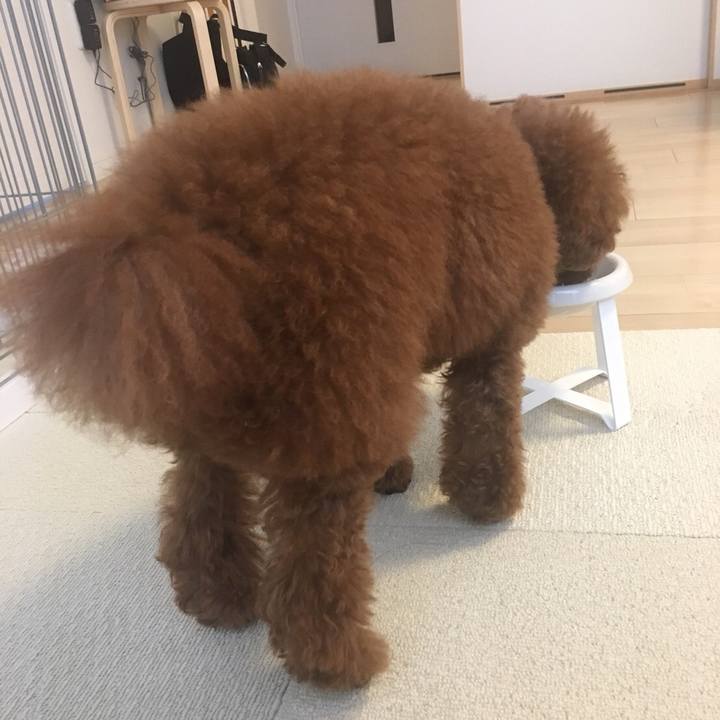 0cd64f2d 7775 42de 8ddf d87e3e979d91 1531437863326