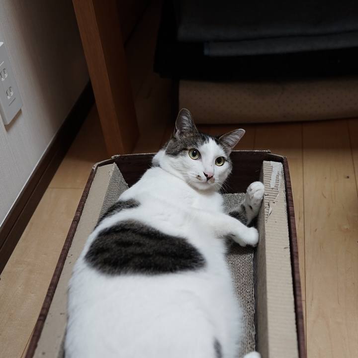 0cd6530d 0042 4d06 8f26 d310245b13c0 1560126292769